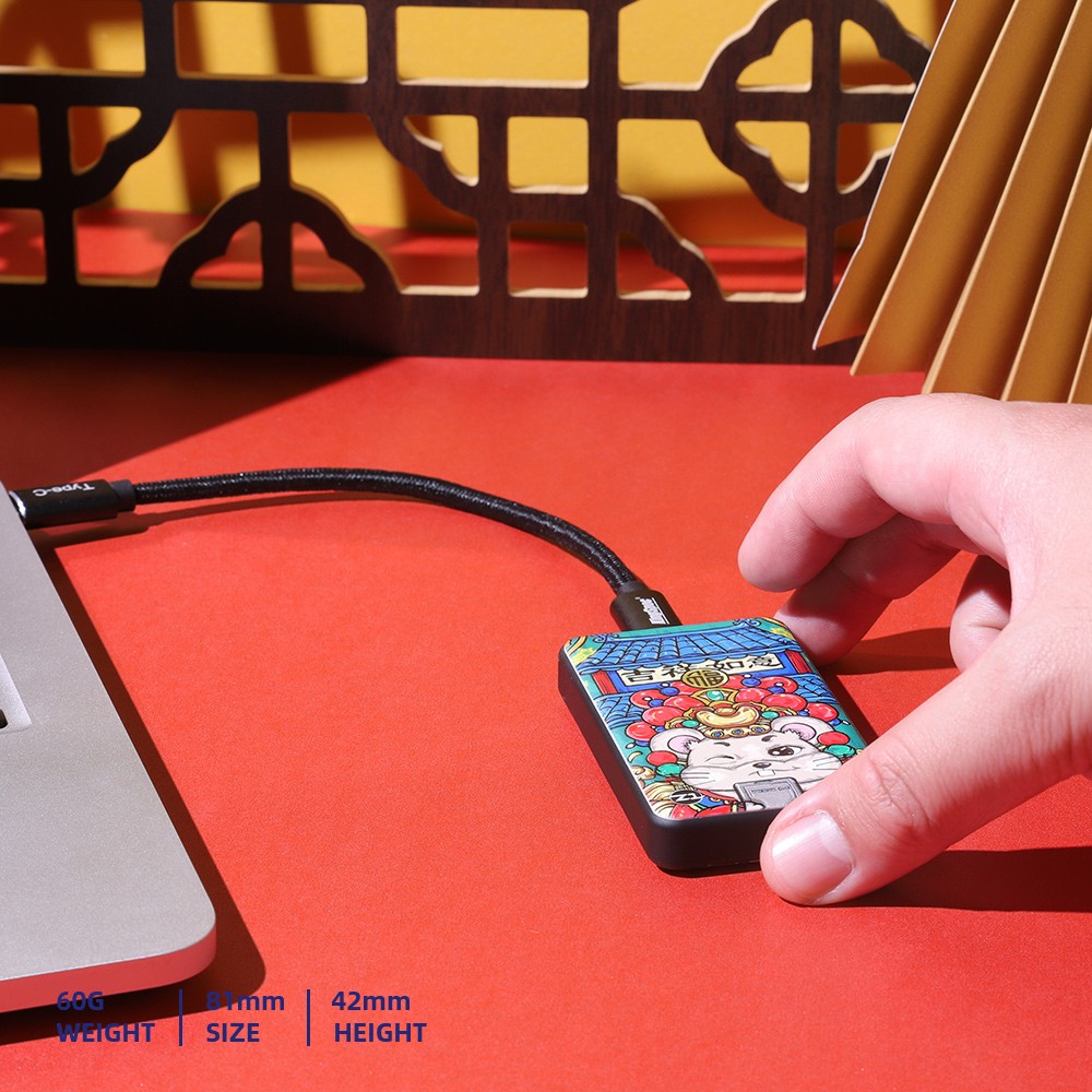 Z1 Portable SSD - KingSpec