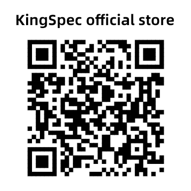KingSpec official store