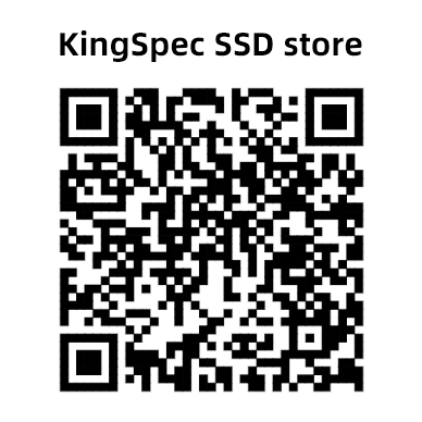 KingSpec SSD store